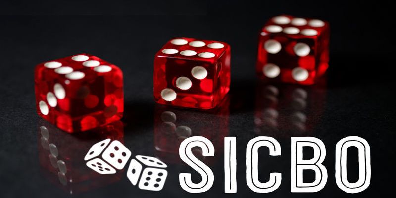 Đặc điểm nổi bật giúp sảnh cược được yêu thích